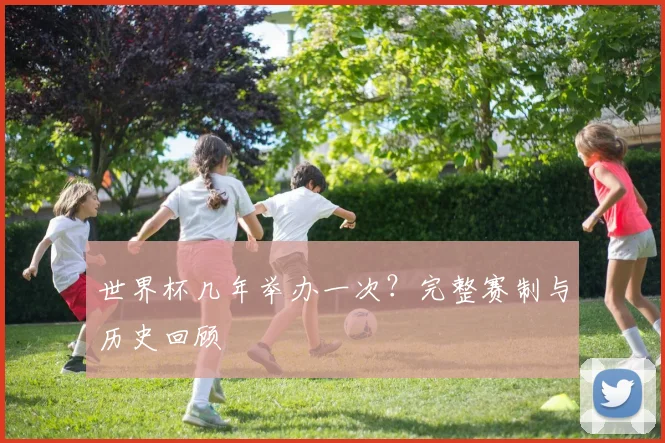 世界杯几年举办一次？完整赛制与历史回顾